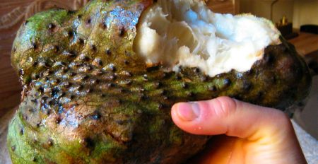 ripe-guanabana-peru-mercado-surquillo-inside-lima