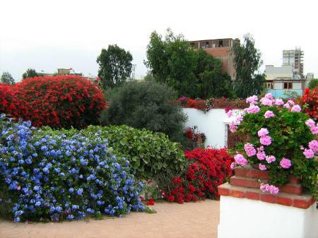 museo-larco-lima-peru