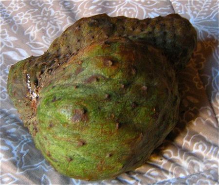 ripe-guanabana-peru