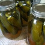 Dill Pickled Cucumbers Recipe