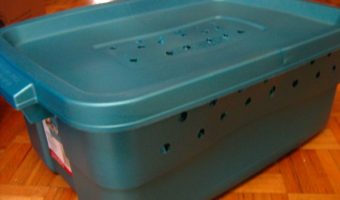 vermiculture-worm-compost-box