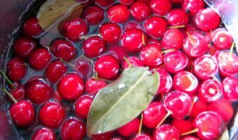 pickled-sour-cherries