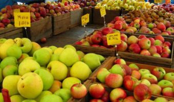 brooklyn-green-market