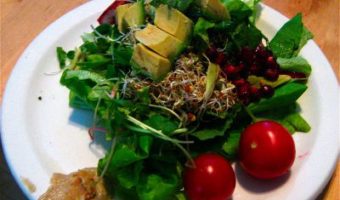 raw-salad-avocado-pomegranate-lettuce-cherry-tomato-sprouts