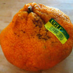 ugli-fruit