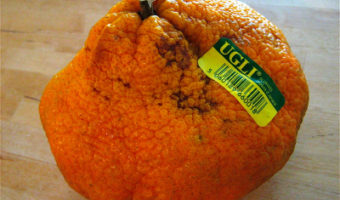 ugli-fruit