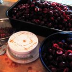 pitting-cherries-for-jam-and-vinegar