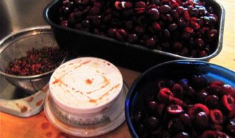 pitting-cherries-for-jam-and-vinegar