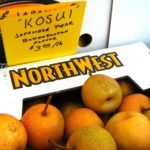 kosui-japanese-pear-butterscotch