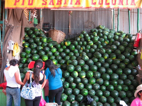 watermelon-wall-parada