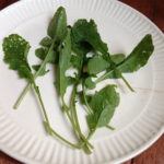 Arugula