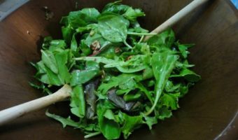 candied-pecan-salad-blueberry-balsamic-vinaigrette