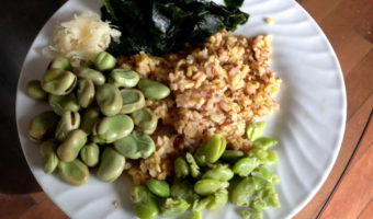 fava-beans-wakame-sauerkraut-rice