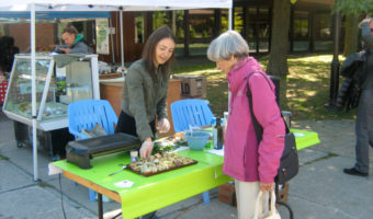 ile-des-soeurs-farmers-market