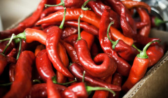 hot-chili-peppers