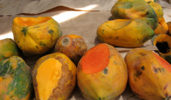 papayas