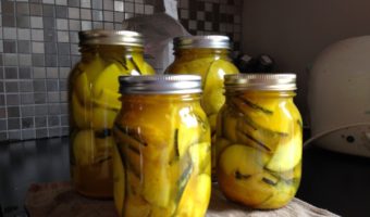 zucchini-pickles