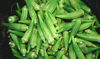 okra-chicken-rice-recipe-healthy