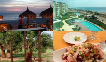 aruba-hotel-condo-animal-garden-ceviche