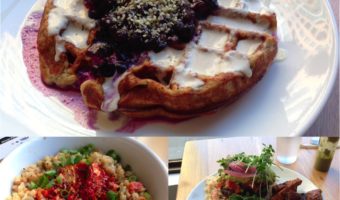 toronto-vegan-restaurant