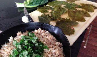 greek-dolmades-vine-leaves