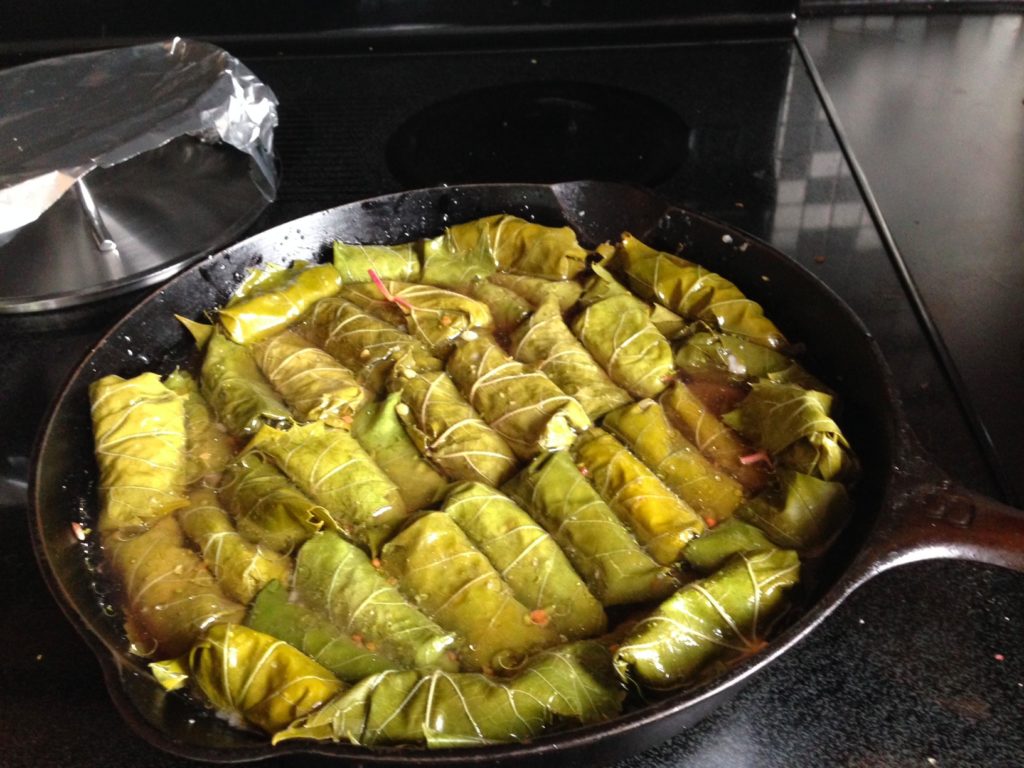 greek-dolmades-vine-leaves-3