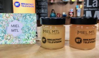 local-honey-breakfast-television-montreal-miel-mtl