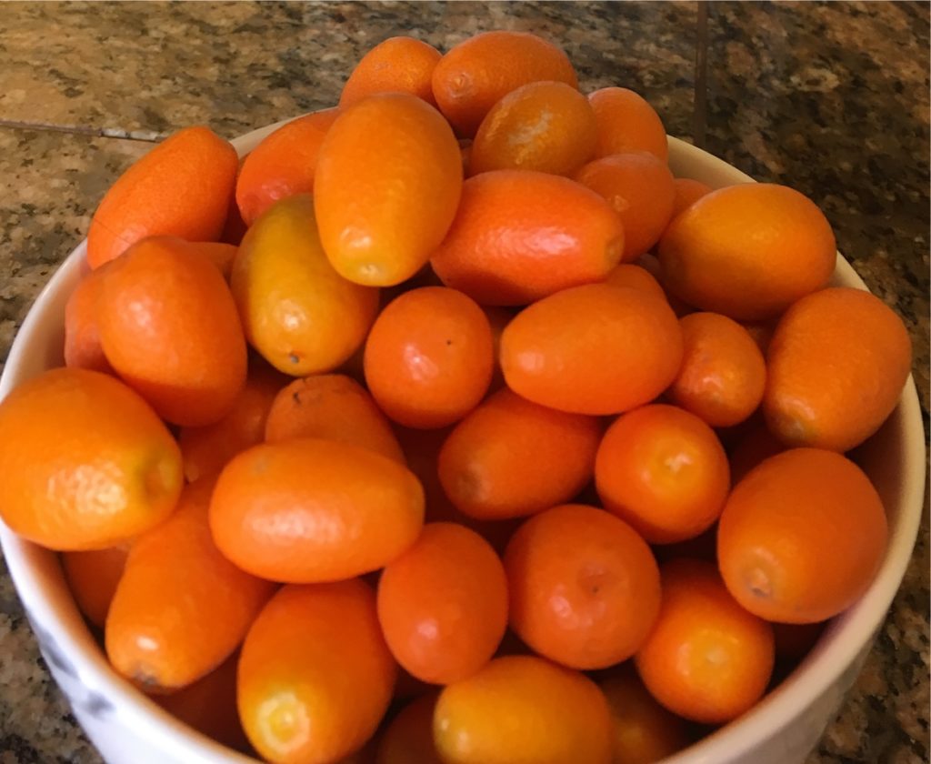 kumquats-tucson-travel-writing