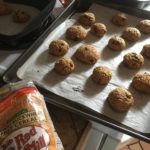 duck fat oatmeal cookies gluten free