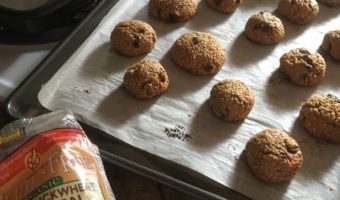 duck fat oatmeal cookies gluten free