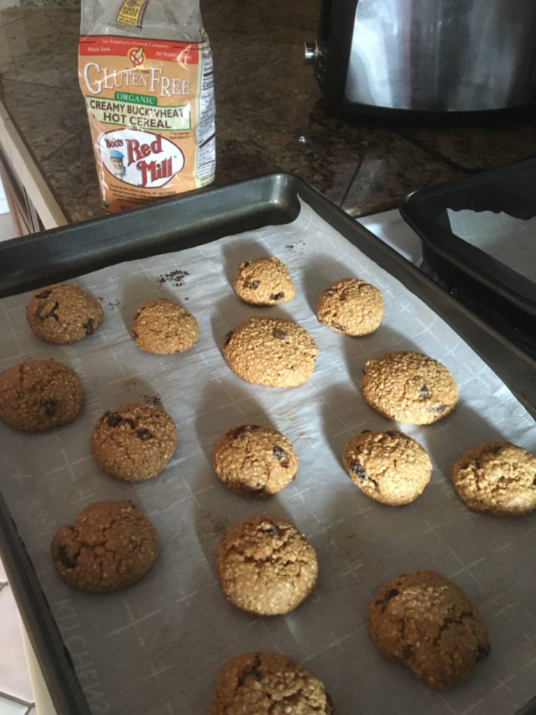 duck fat oatmeal cookies gluten free