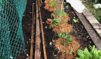 Community-garden-2020-covid-year-montreal