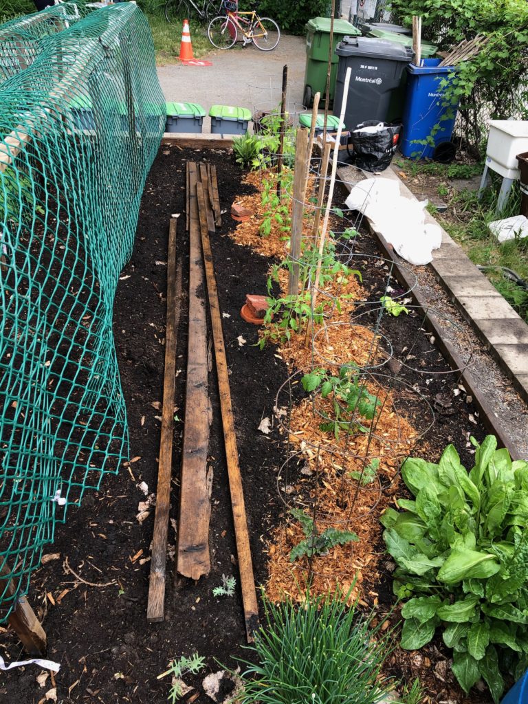 Community-garden-2020-covid-year-montreal