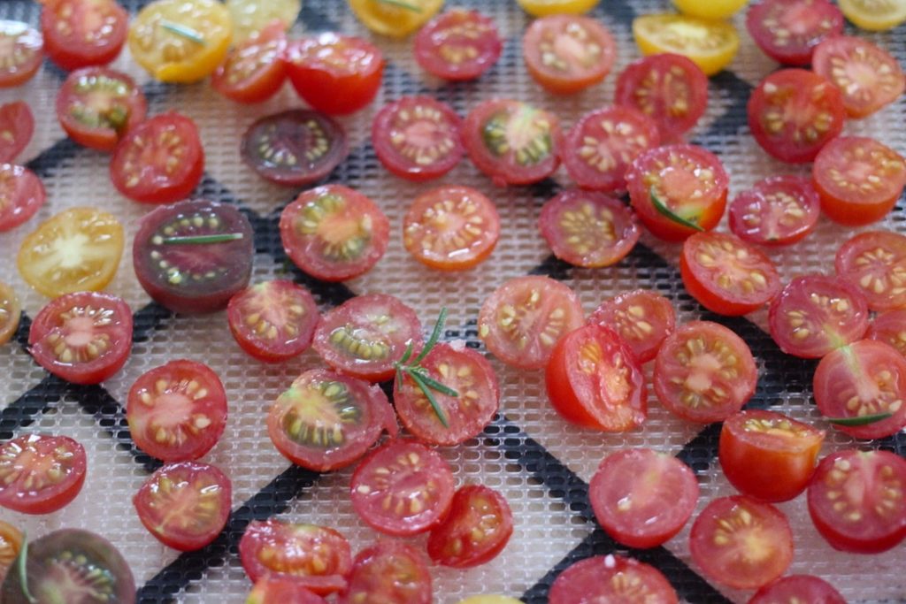 dehydrated-cherry-tomatoes-sundried-tomatoes-in-a-dehydrator