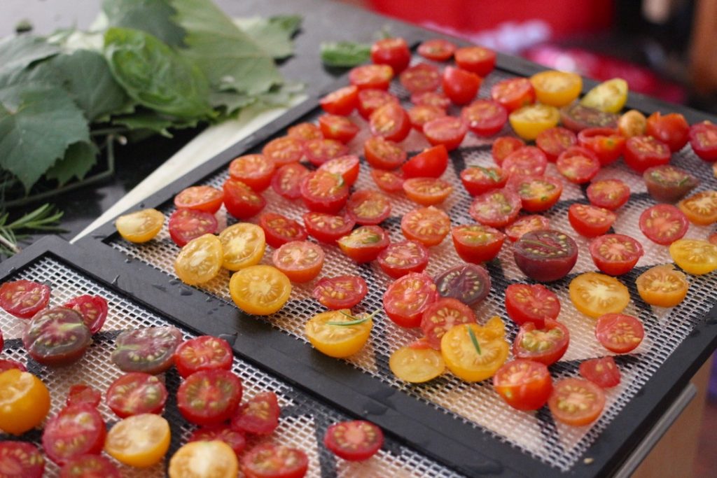 dehydrated-cherry-tomatoes-sundried-tomatoes-in-a-dehydrator