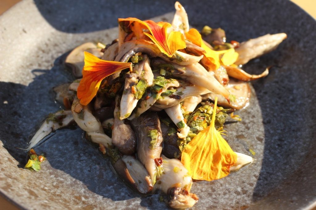 grilled oyster mushrooms with edible flowers on SAST rooftop in Montreal