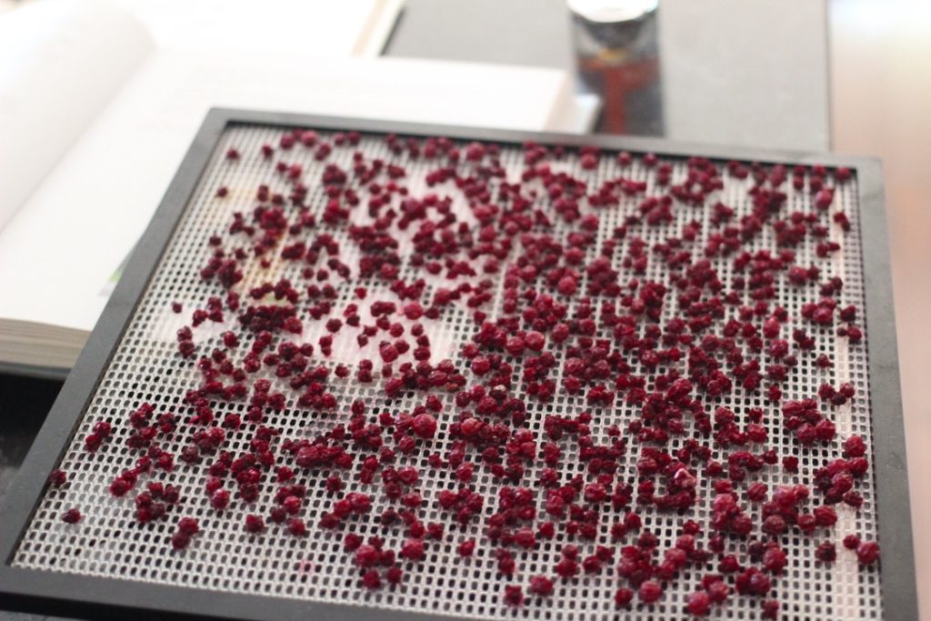 drying red currants