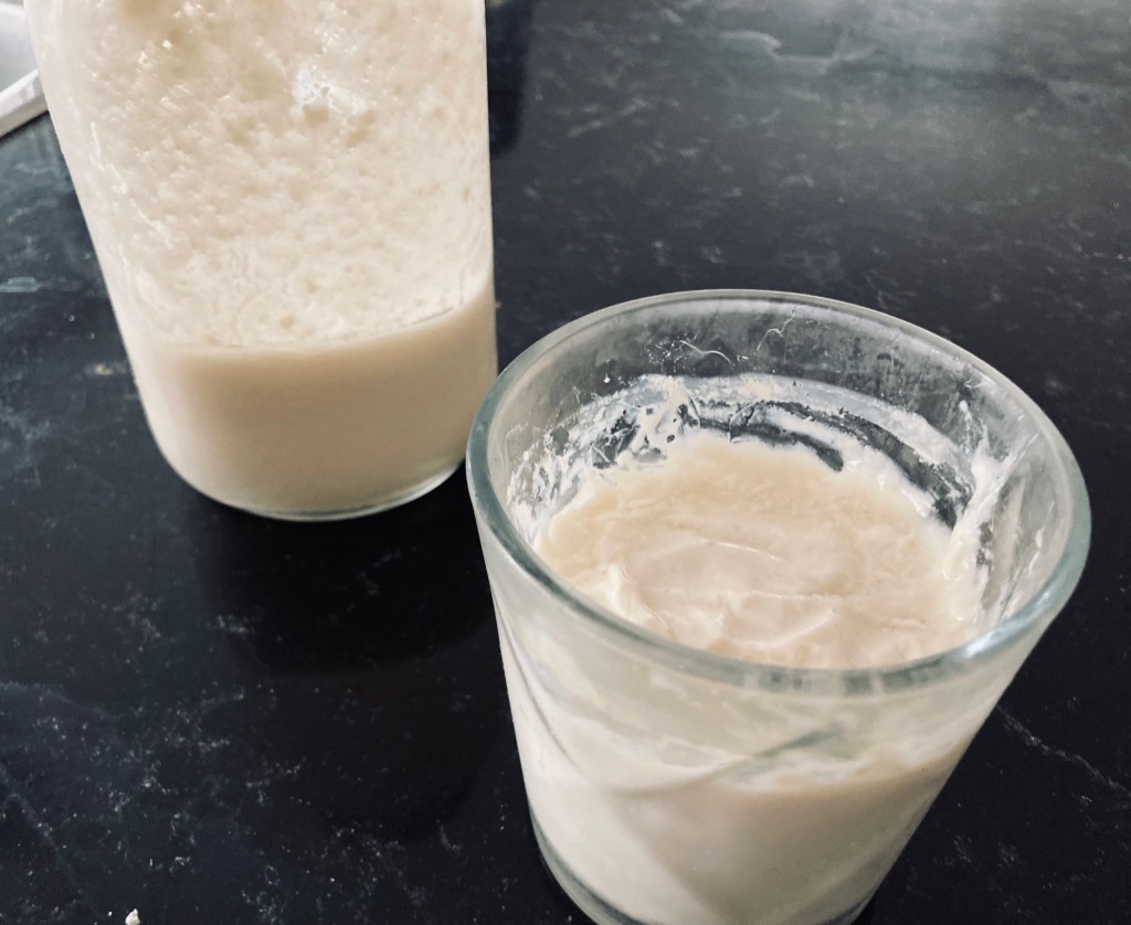 Organic homemade soy milk yogurt