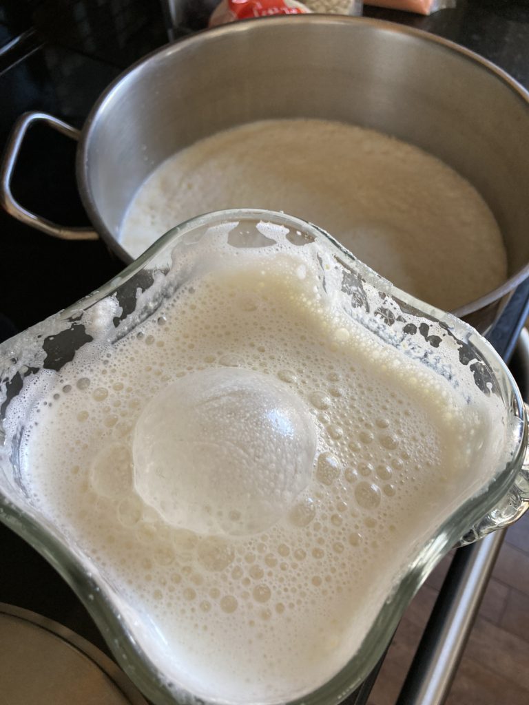 Homemade soy milk