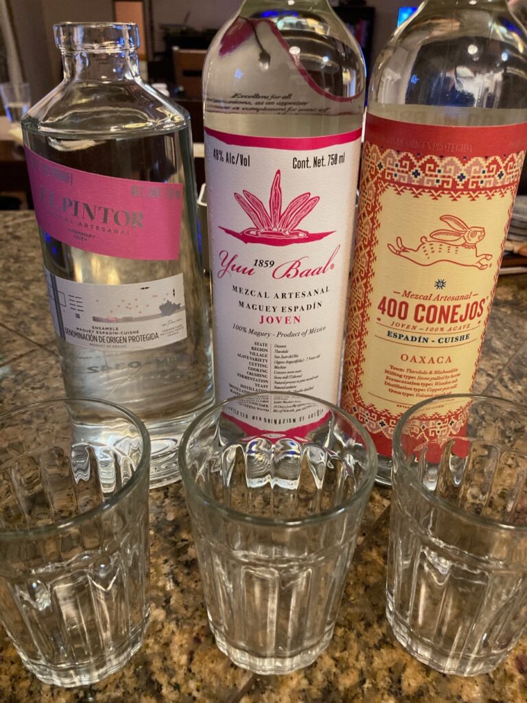 mezcal-yuu-baal-400-coñejos-el-pintor-cuishe-agave-maguey